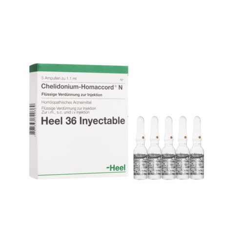 CHELIDONIUM HOMACCORD AMPOLLA X 1 ML HEEL (Caja x 5 Ampollas)