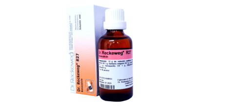 MEDICAMENTOS R27 RENOCALCIN X 50 ML (Dr. Reckeweg) FUNCIONAMIENTO RENAL