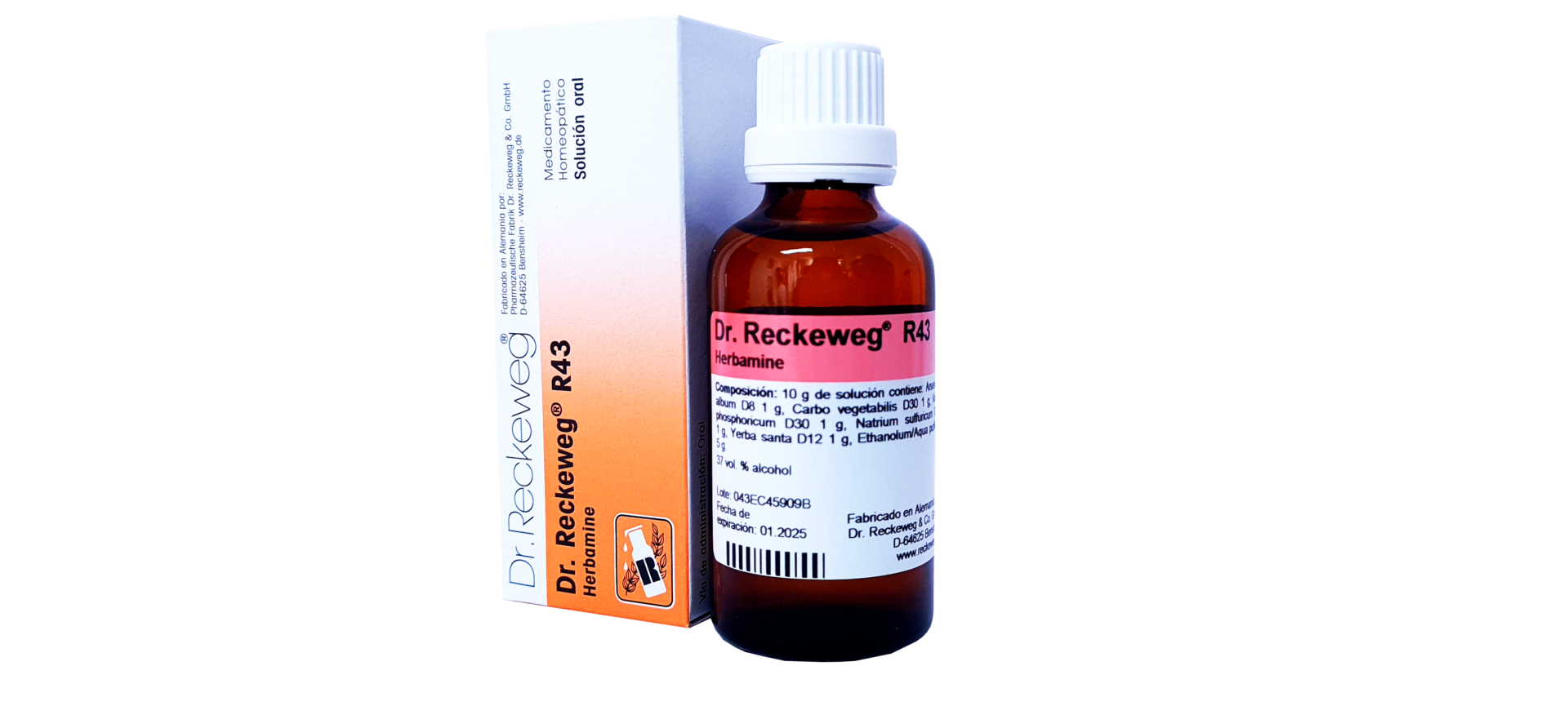 MEDICAMENTOS R40 DIAGLUKON X 50 ML (Dr. Reckeweg) DIABETES